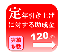 定年引上げに対する助成金